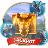 Rhino Blitz
